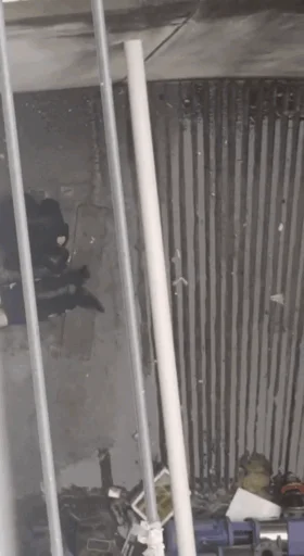 【门事件】安徽马鞍山某大学❤️男女大白天就在校外过道打野战视频！