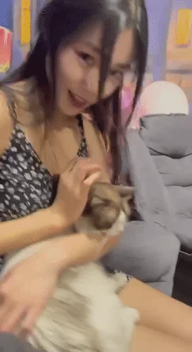 ❤️极品反差婊❤️超高颜值超骚超贱，无套狂艹，白浆都被艹出来了，明明很舒服却摇头喊不要呀！