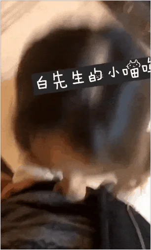 【性爱流出❤️极品啪啪】最新推特32位调教系博主大神性爱私拍 虐恋SM性N母G女N 虐操爆射流精