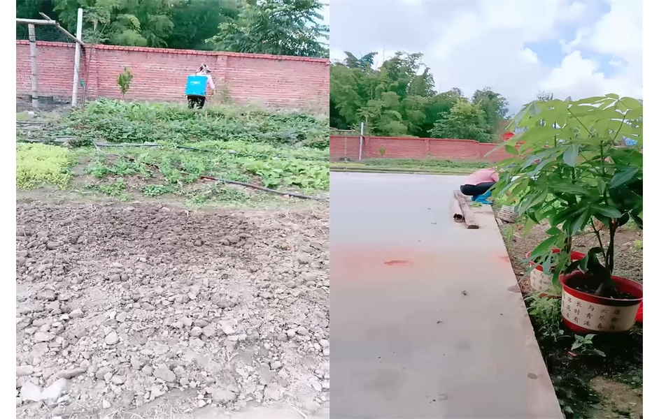 牛人大哥乡下猎艳 勾搭菜地里打Y的大婶 软磨硬泡迷糊中就被500块套路肏穴 缠绵肉体席地而Z