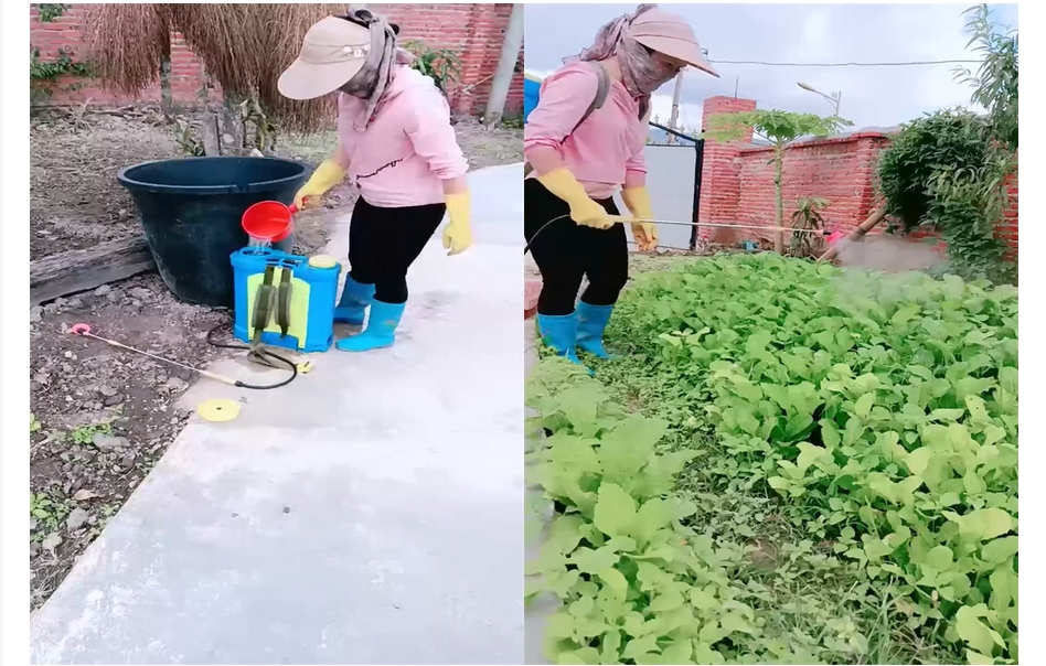 牛人大哥乡下猎艳 勾搭菜地里打Y的大婶 软磨硬泡迷糊中就被500块套路肏穴 缠绵肉体席地而Z