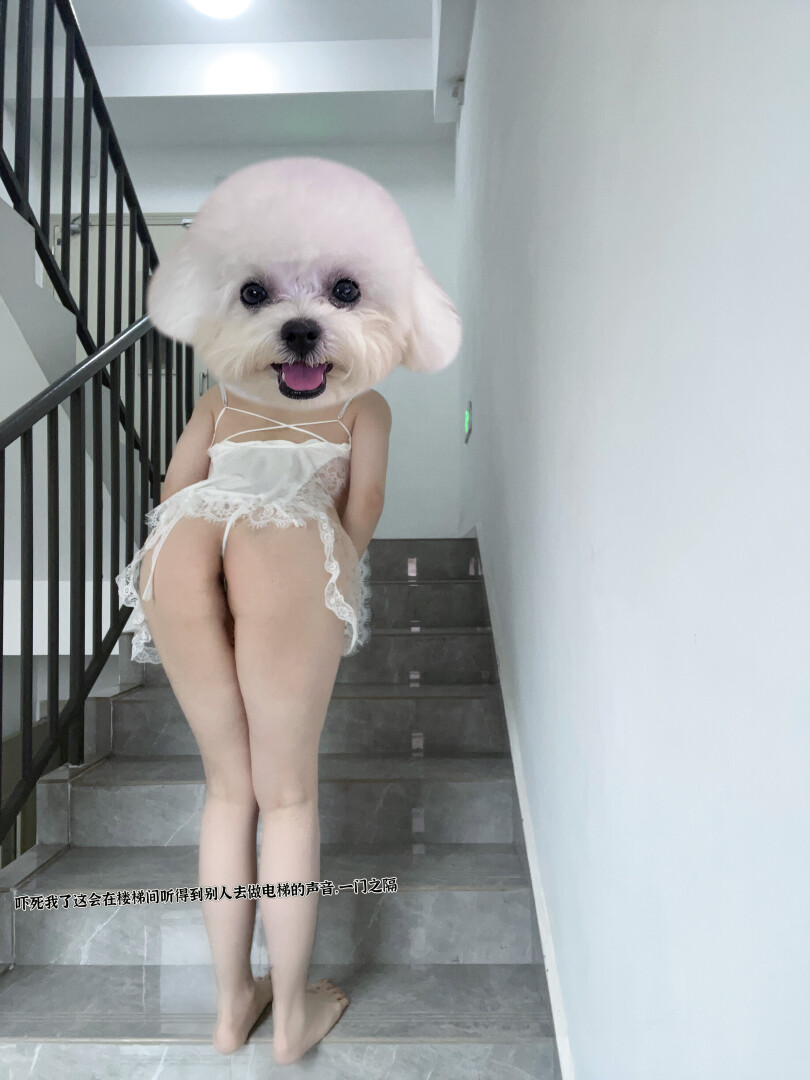 {听了男粉的建议我今天第一次露出了！！}泡芙露出篇，真的是迈出一步了，越玩越会了。