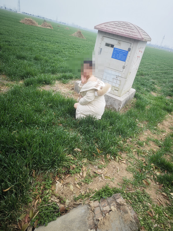 闲来无事 小麦地里简单露出[8P]