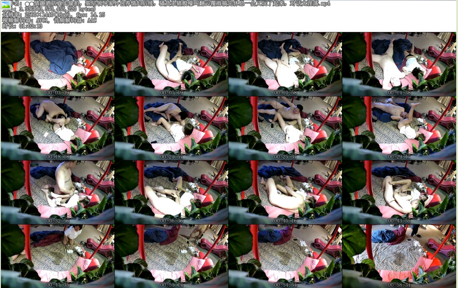 情趣酒店真实偸拍，基层领导家外包养情妇后续，骚货杀猪般嚎叫翻云覆雨搞完休息一会又玩了起来，对话太淫荡