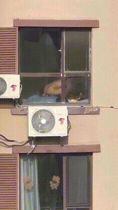 教育从娃娃抓起 对面楼大白天在家啪啪 窗帘也不拉 来个现场直播 上位骑乘口爆