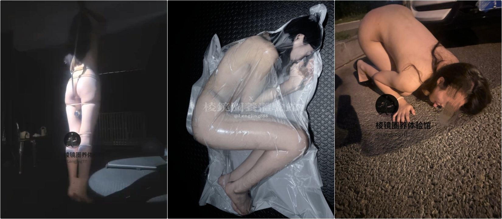 极致腰臀比长腿粉穴女神户外露 露出完直接操进去 竟然有人这么贱 字母圈的顶级调教大神调教极品母狗