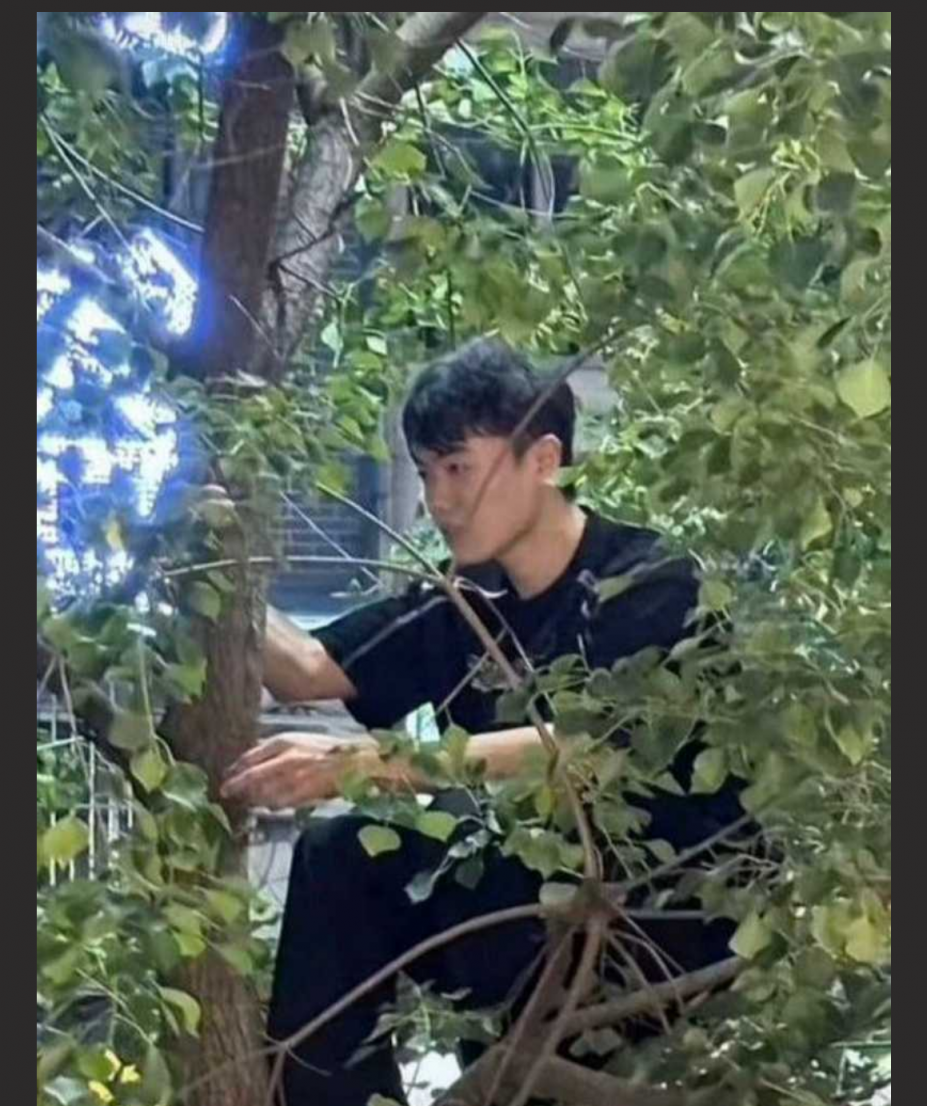 夏邑县狂想曲小三被抓现场 竟还有人爬树吃瓜 女主私密视频被扒！