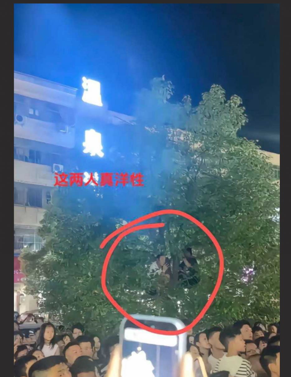 夏邑县狂想曲小三被抓现场 竟还有人爬树吃瓜 女主私密视频被扒！