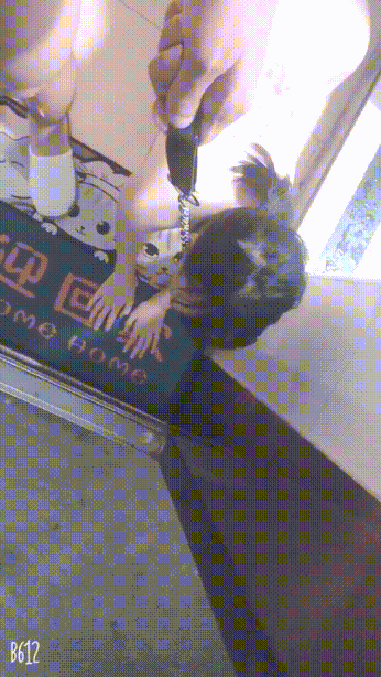 圈养校花极品嫩妹，一线天粉嫩馒头穴肉鲍超诱人，擒住双腿肉鲍被塞入肉棒⚡天花板级清纯嫩妹