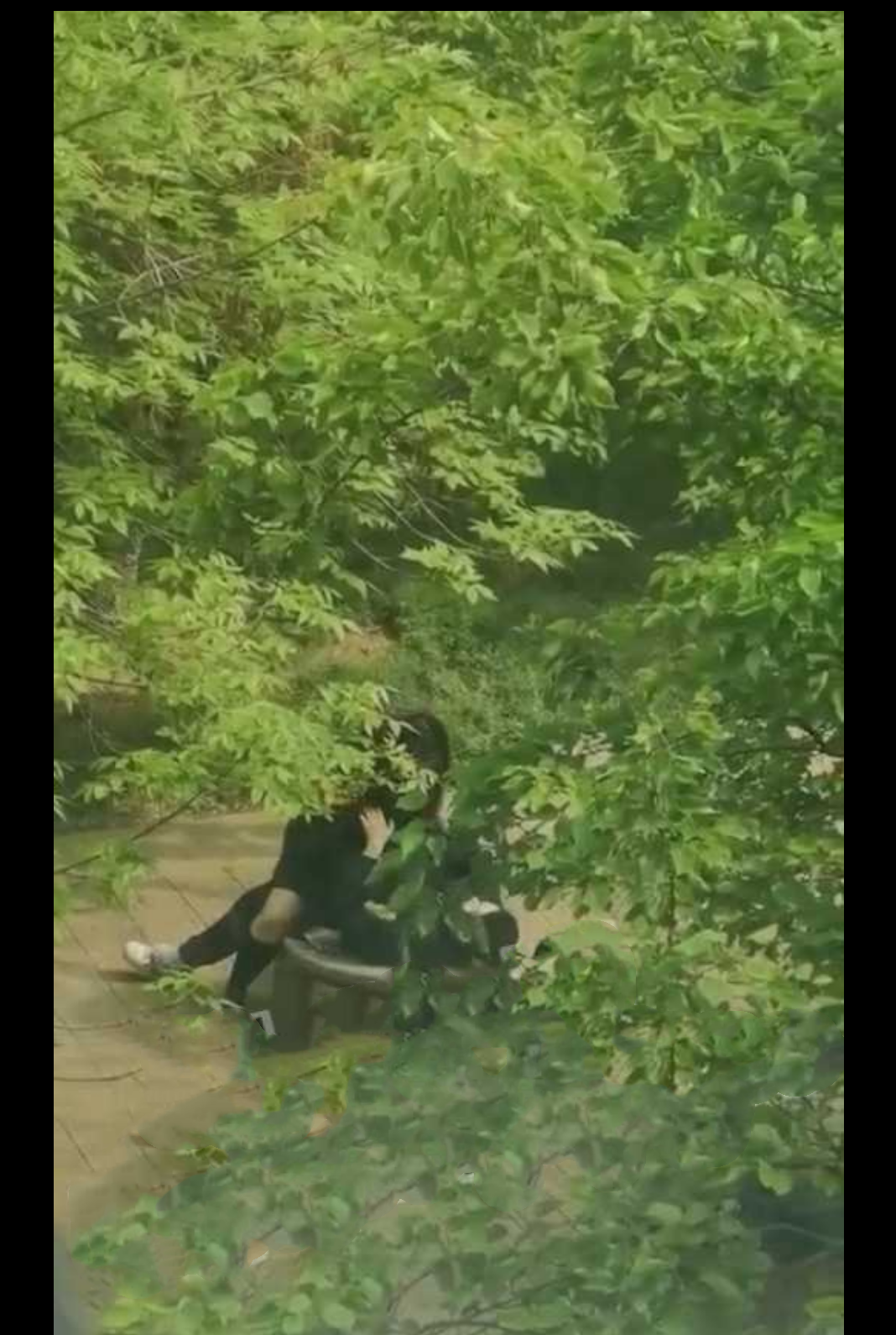 辽宁东北大学大姐大为了报复男友随机找了个男人在校园内做爱 并让姐妹录下视频发给男友！