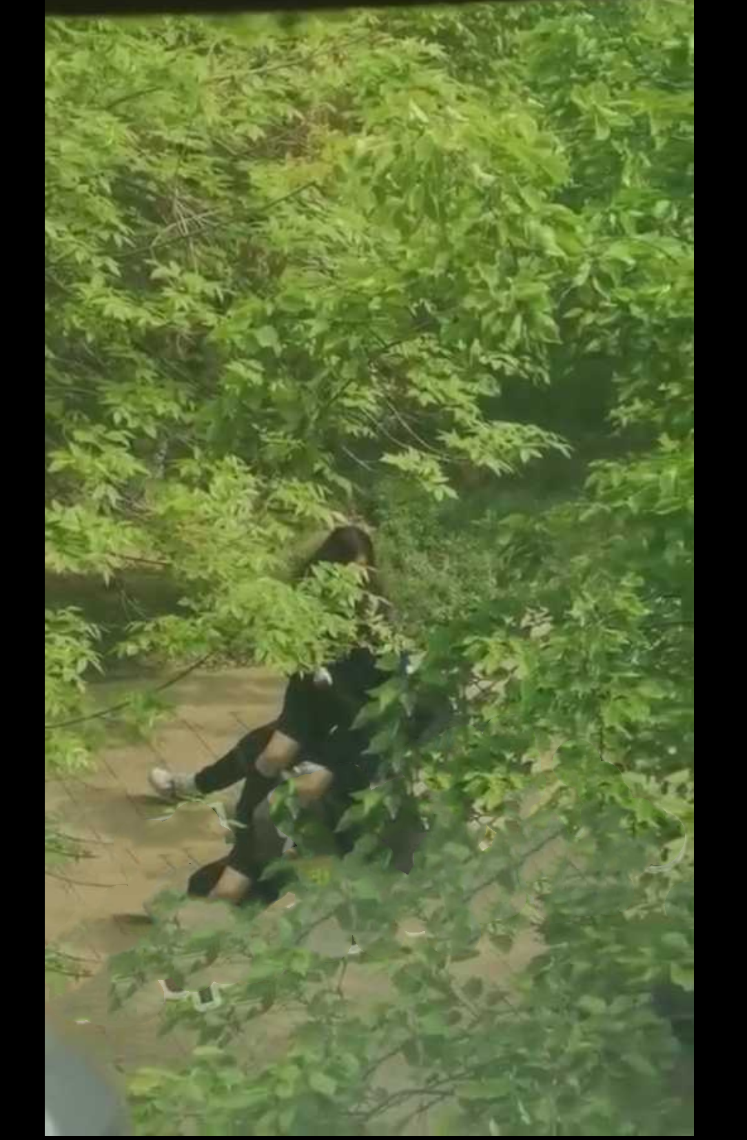 辽宁东北大学大姐大为了报复男友随机找了个男人在校园内做爱 并让姐妹录下视频发给男友！