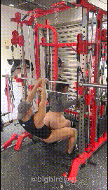 ❣️推荐❣️推特红人健身达人【谚哥】深蹲口交，骑电驴操逼，巨屌弹钢琴，卧推操逼，圣水调教男奴