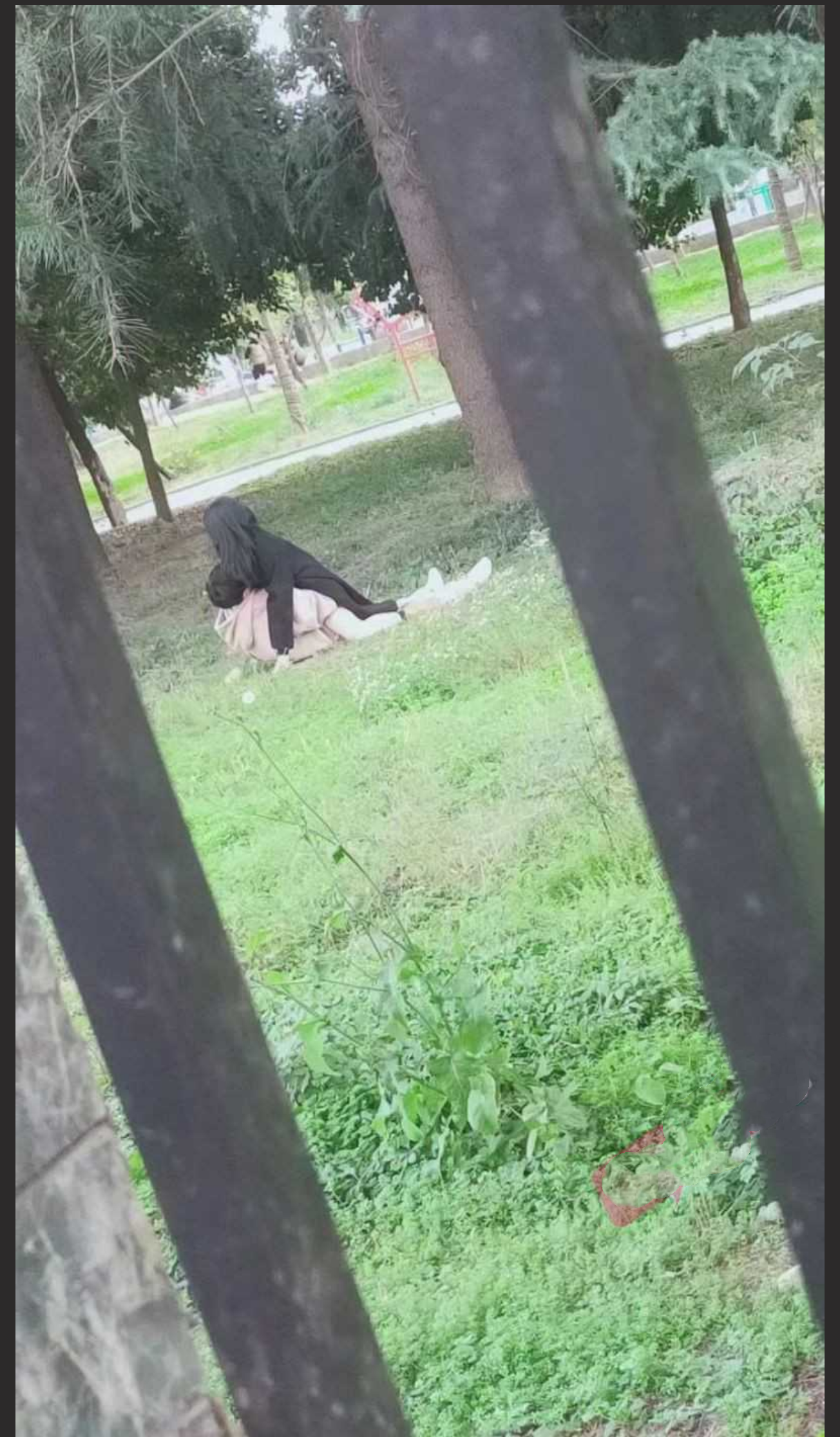 职业技术学院大学生是真会玩啊! 绿草坪户外做爱激情满满!