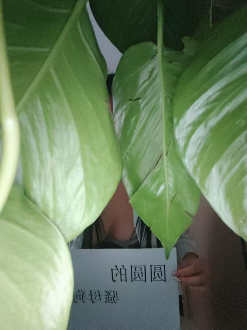 我与卡拉夫妻的爱恨情仇,一个无耻单男的诞生