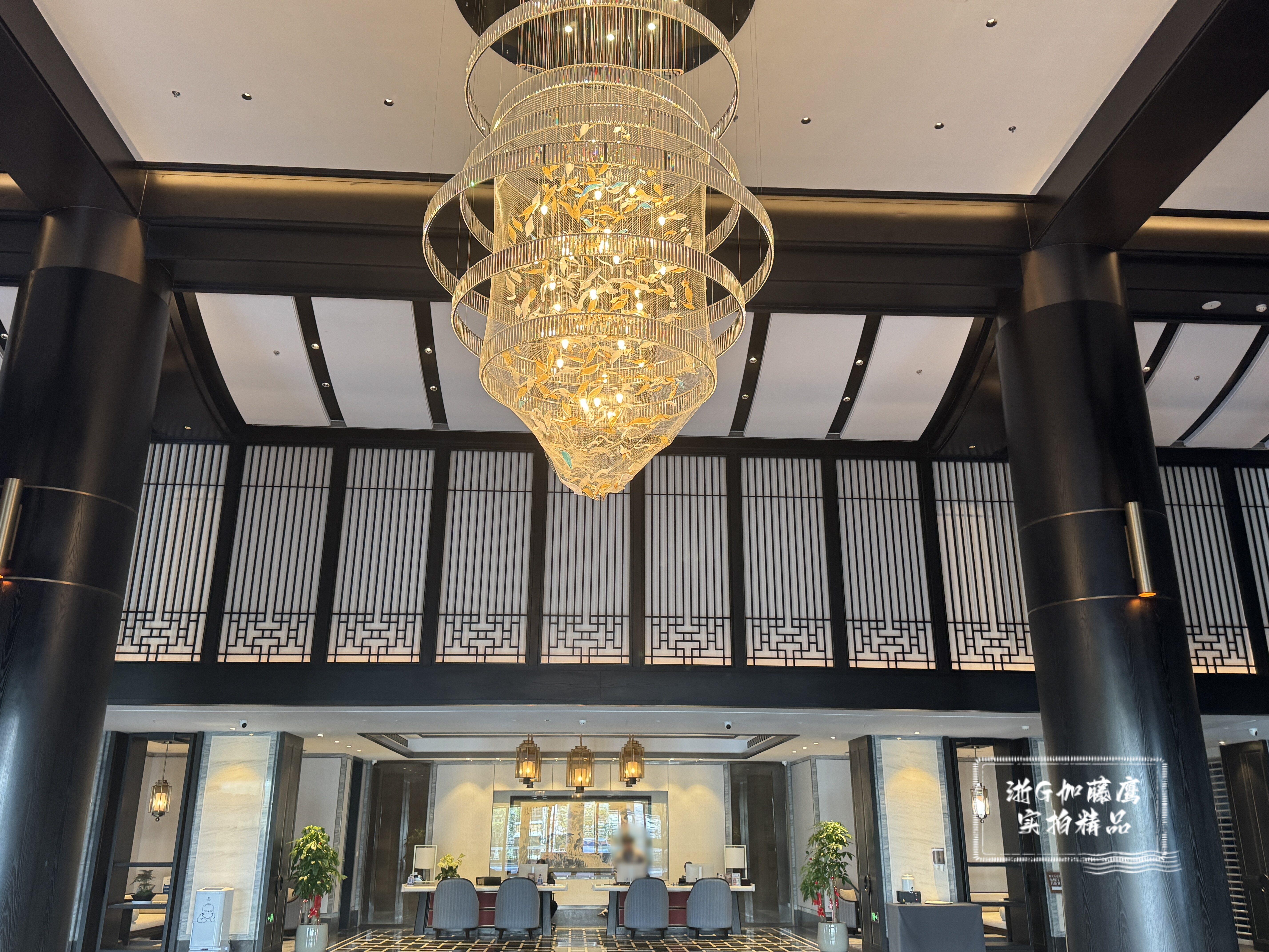 浙G加藤鹰出品，必属精品，夫妻交换，前后插入，双鸡巴插入，四指插入，前插后舔菊花，满足你的淫妻欲望