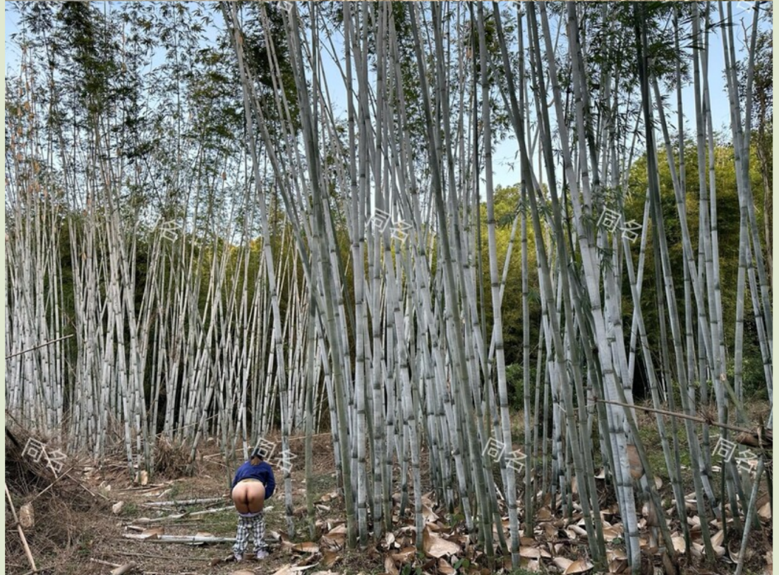 新作,广州80后夫妻,推特淫荡记录,夫妻交换双,后入女女激情热吻