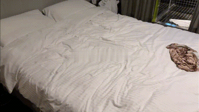 吃完饭跟超高颜值越南研究生临时口一下，突然间激射，差点被满口的精液呛到