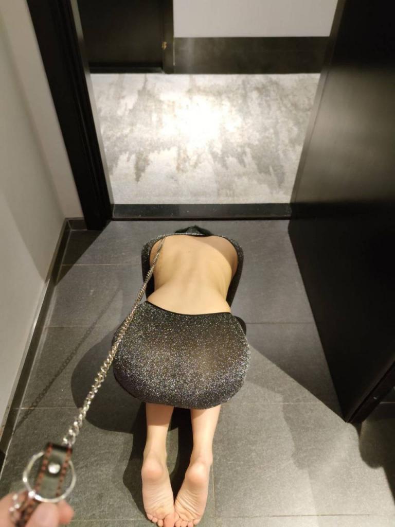 关于《BDSM 调教》 附艺术美图