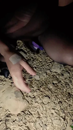 深夜约小少妇去郊区玩❤️没说两句就动手动脚,鸡巴都掏出来了还想跑,抓回来拔掉内裤直接插入一顿啪啪啪!