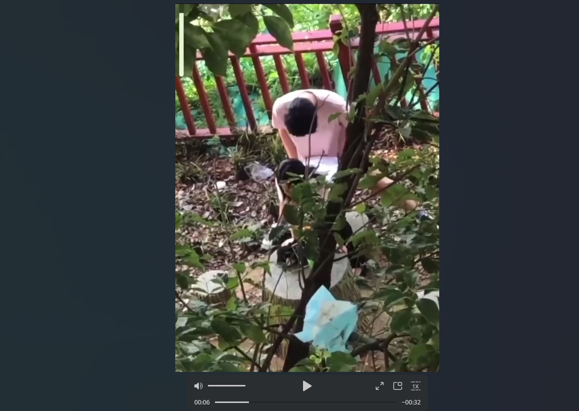 辽宁理工学院小树林事件！ 情侣钻小树林上演经典时刻 全校轰动成打卡胜地！