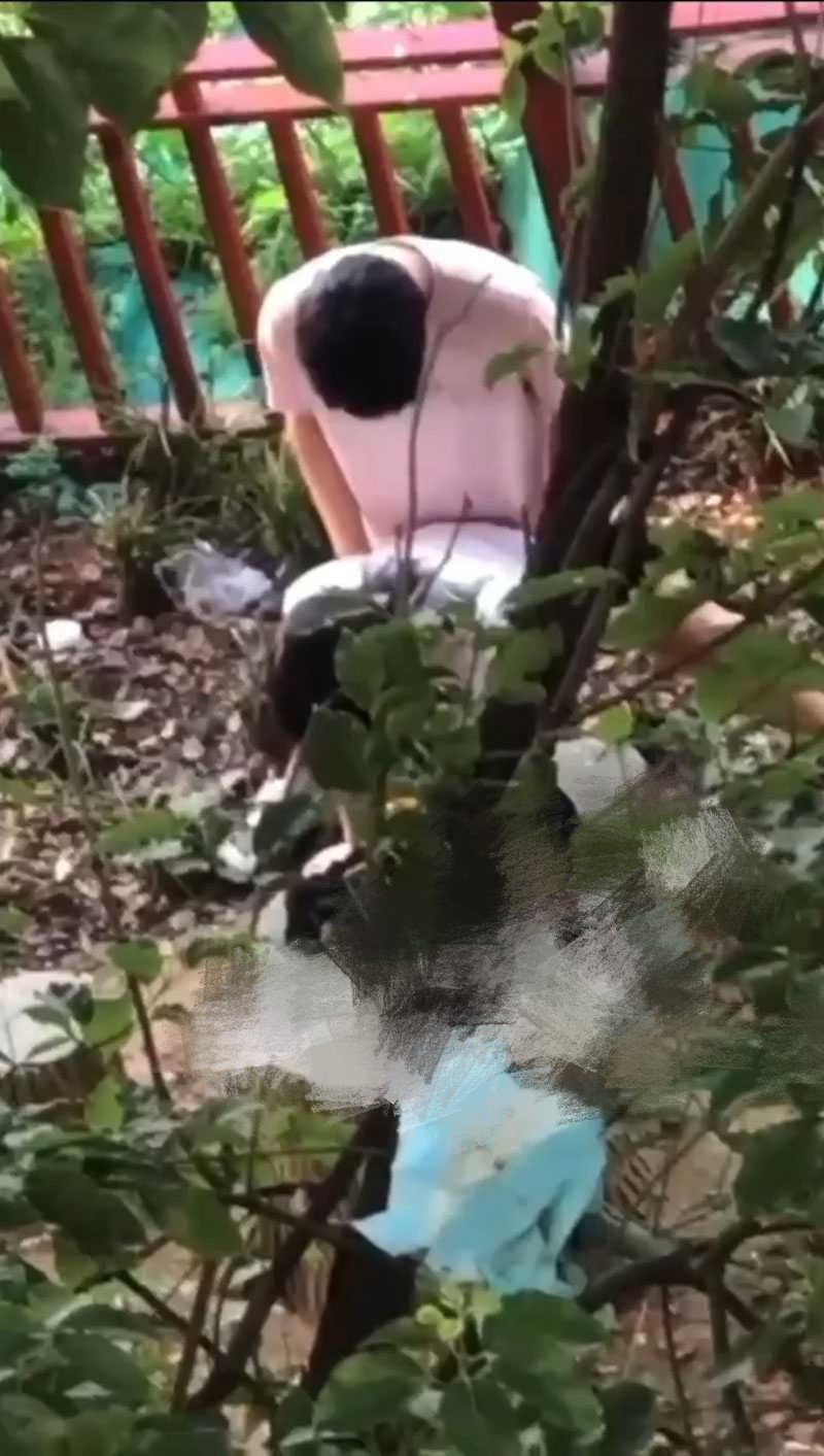 辽宁理工学院小树林事件！ 情侣钻小树林上演经典时刻 全校轰动成打卡胜地！