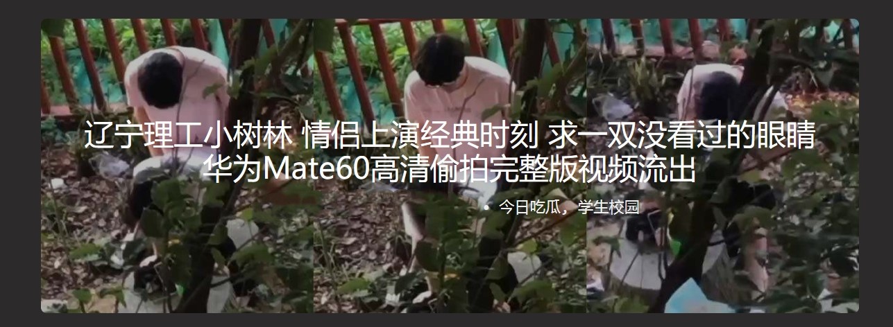 辽宁理工学院小树林事件！ 情侣钻小树林上演经典时刻 全校轰动成打卡胜地！