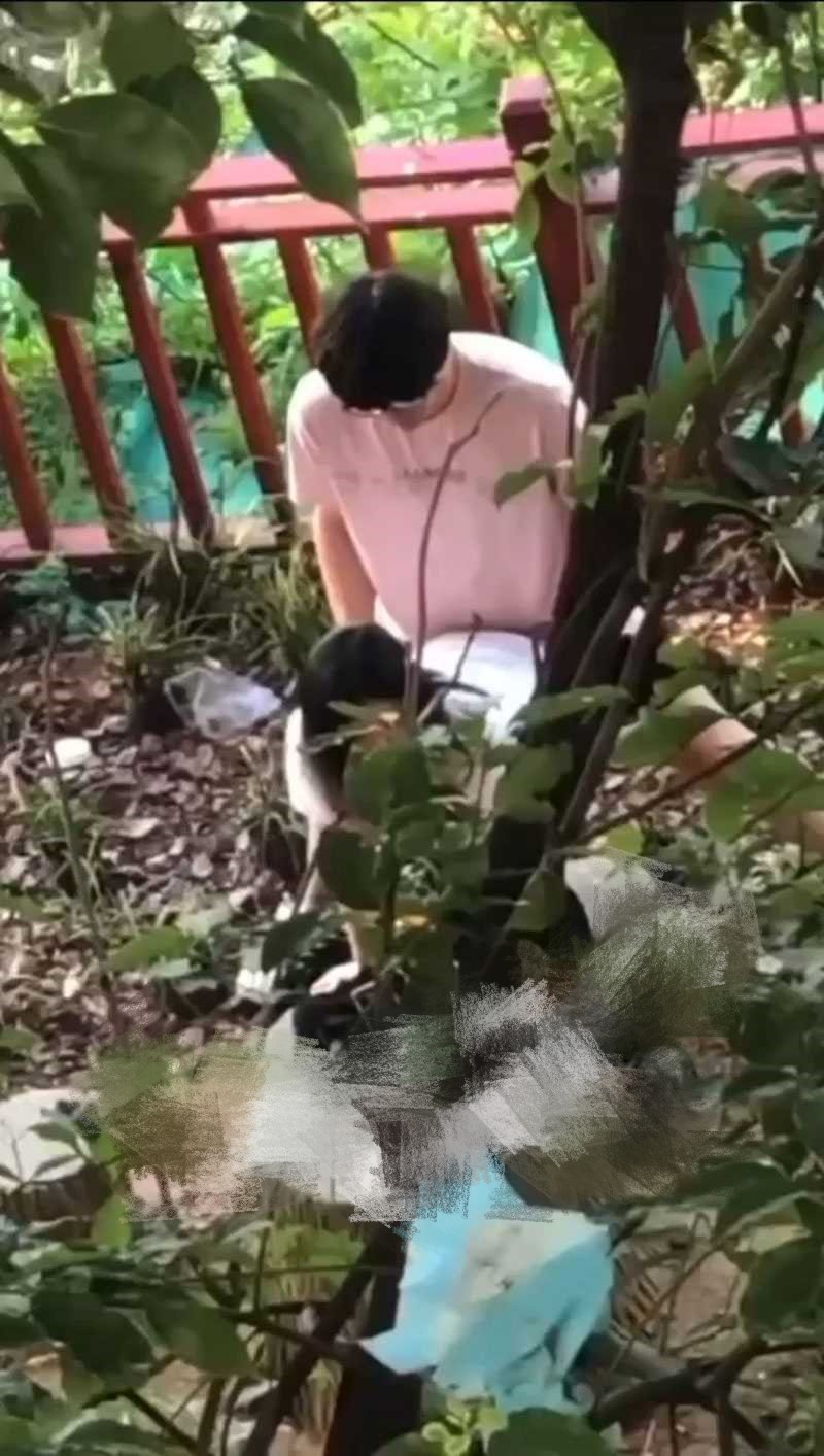 辽宁理工学院小树林事件！ 情侣钻小树林上演经典时刻 全校轰动成打卡胜地！