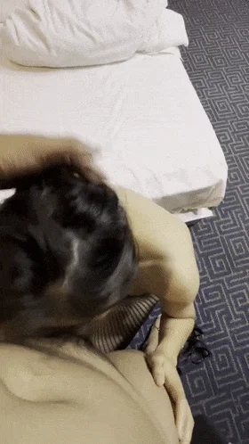 极品杭州骚妻，【红烧狮子头】，推特福利，超大胆，儿子还在身后，被操后入牛逼Plus