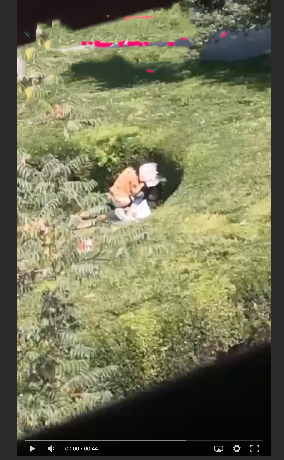 辽宁庄河 新天地广场草坪事件 情侣草丛做爱被全方位偷拍 “挡脸干嘛 B 都露了”