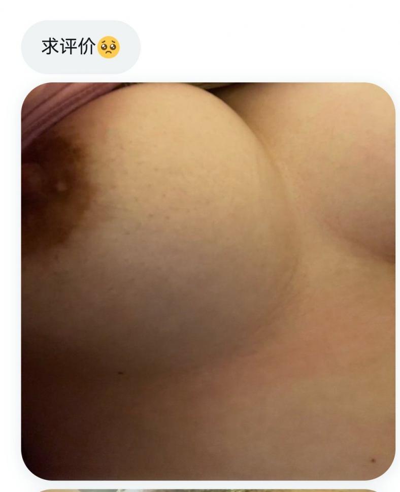 母狗求羞辱[14P]