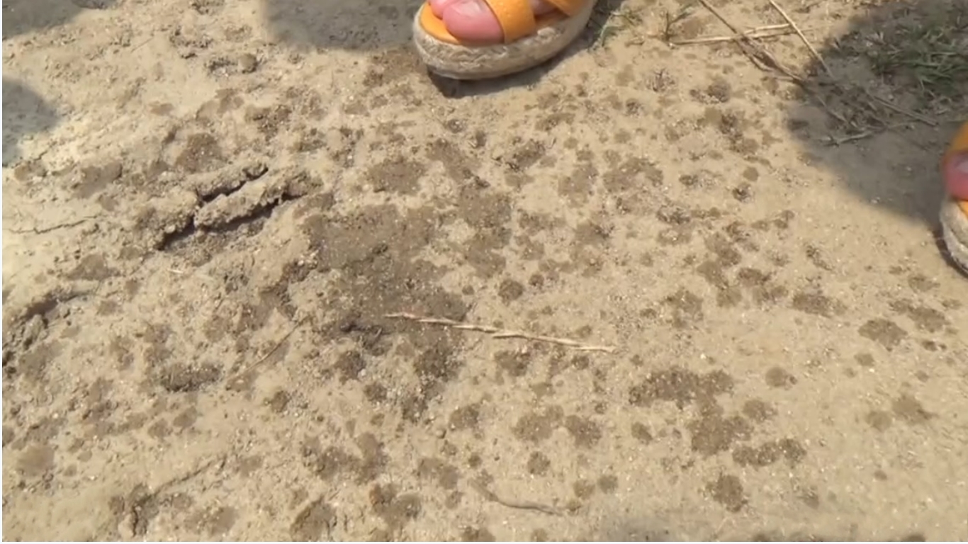 拥有加藤鹰手法神户外金钱诱惑搭讪两位素人小姐姐脱光下体疯狂抠她逼高潮大量喷水完事走路都不稳了