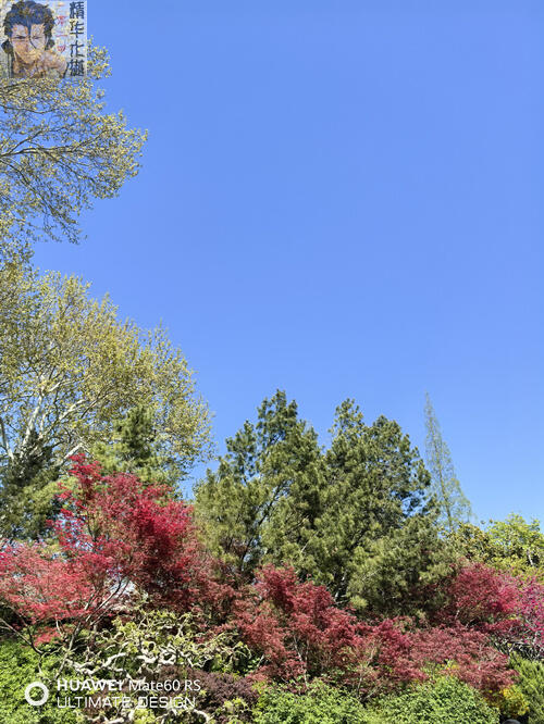 踏青出行，景靓腿美，沾衣欲湿，分享几张娇妻丝足照