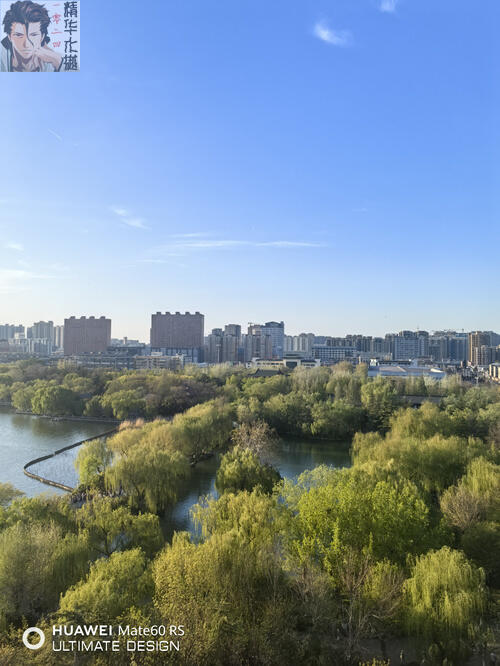 踏青出行，景靓腿美，沾衣欲湿，分享几张娇妻丝足照