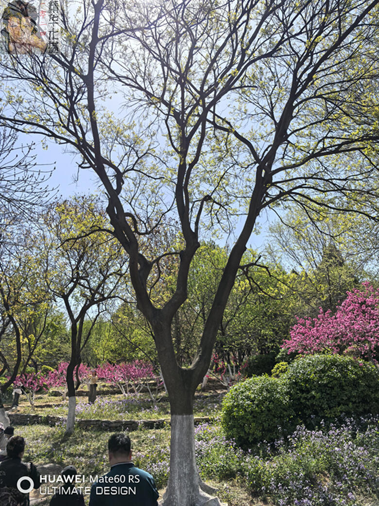 踏青出行，景靓腿美，沾衣欲湿，分享几张娇妻丝足照