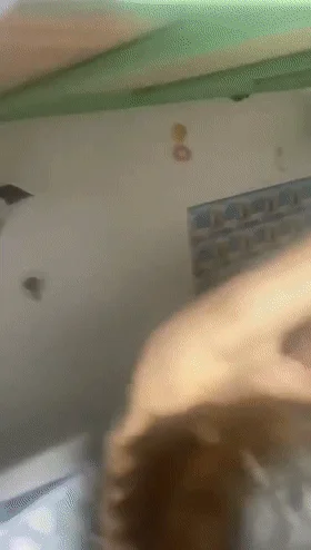 ❤️猎奇❤️工厂宿舍抓奸，应该是刚操完就被抓了，无论男女都是一顿暴打，场面十分刺激，听口音好像是海南