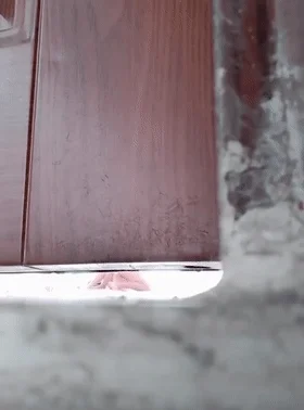 【门事件】 广东湛江遂溪县的某高仲❤️俩学生躲在艺术楼里关着门做爱，传出