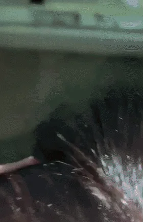 重庆财大新疆母狗❤️夏兹热丽❤️第一次破处口吞脸射视频流出 鲍图奶照全网疯传 干完舔精自拍！