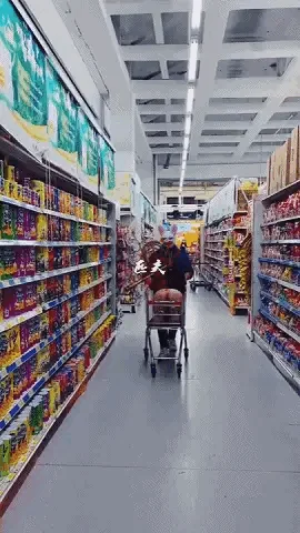 平日高冷傲娇校园女神成为金主随意玩弄的肉便器，母狗sm调教，生姜插逼，鞭打滴蜡，公路上无人机拍摄露出