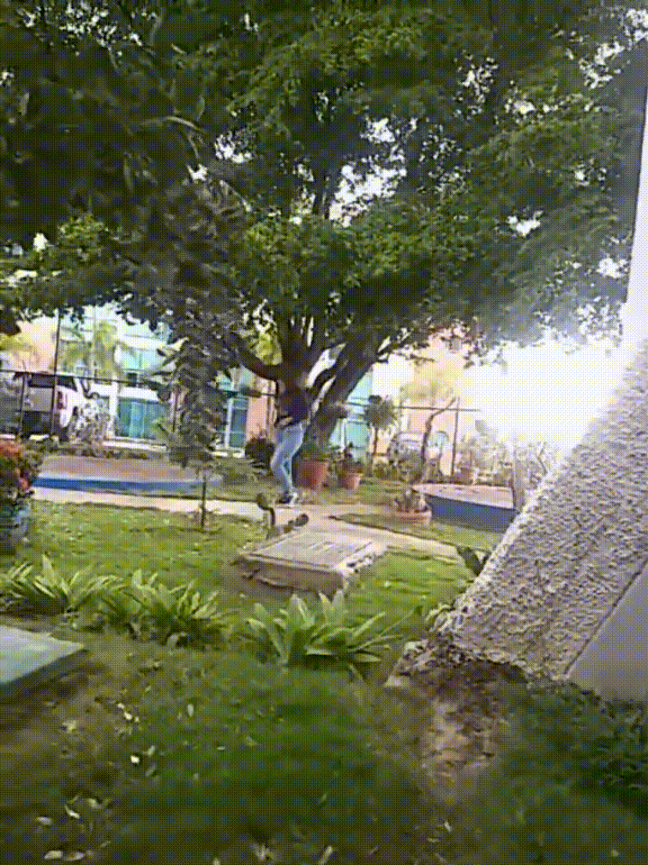 跟踪大屁股少妇如则，没想到她在自慰  太刺激了 忍不住打一波飞机