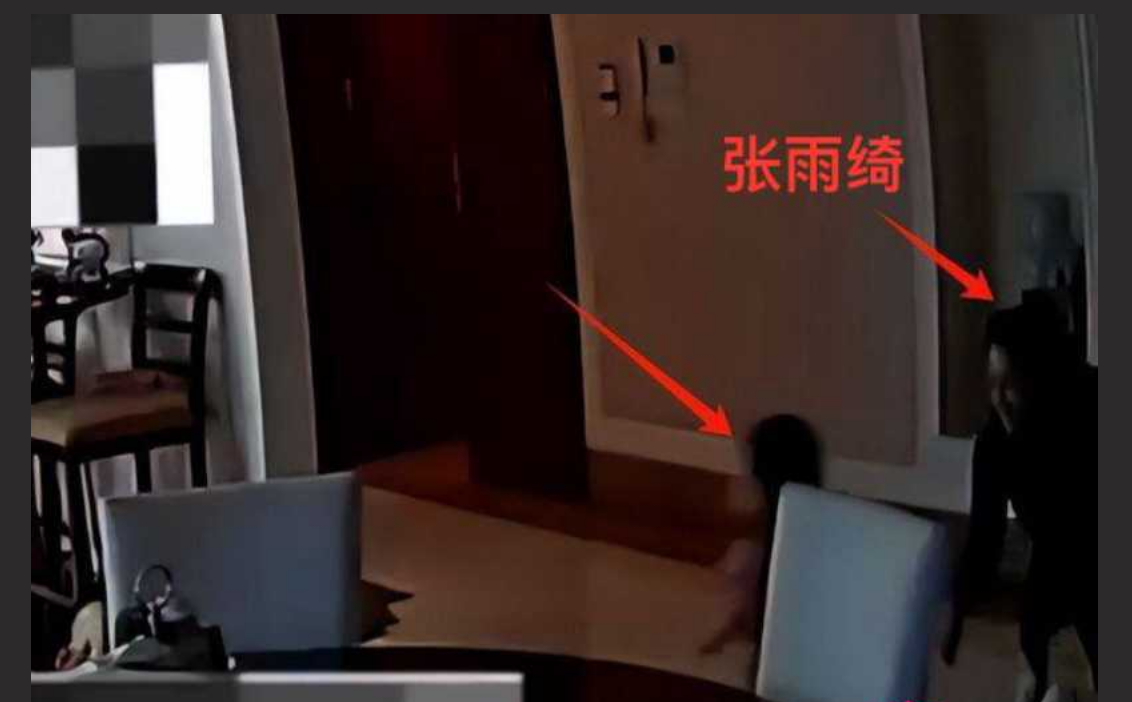 葛晓倩在线手撕张雨绮!葛晓倩晒监空实锤张雨绮小三上位 保姆要封口费