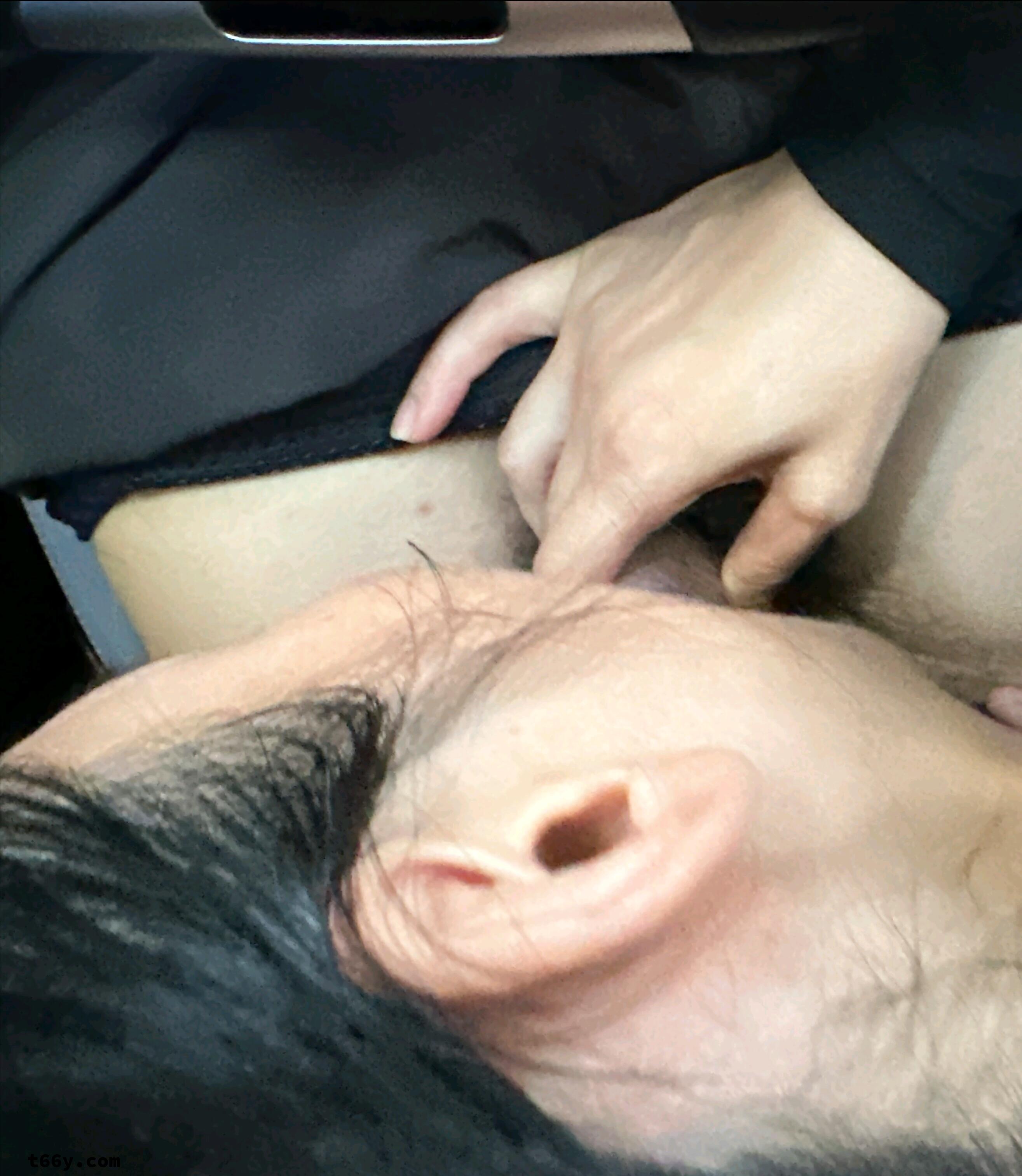 狼嫂车上认真吃肉棒,用肉棒狠狠操奖励她