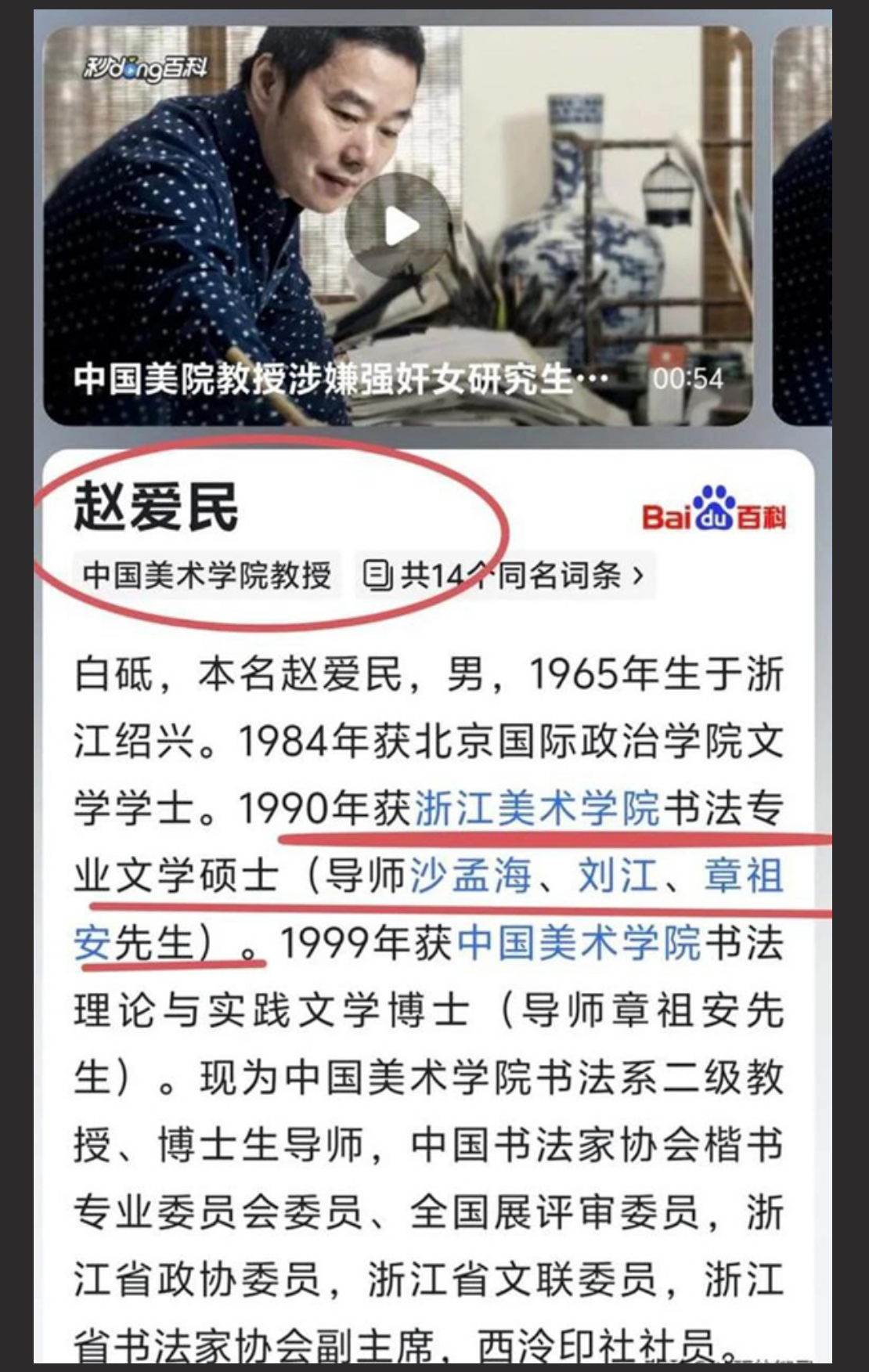 中国美院59教授赵爱民 酒后强干30岁美女研究生 性侵视频流出