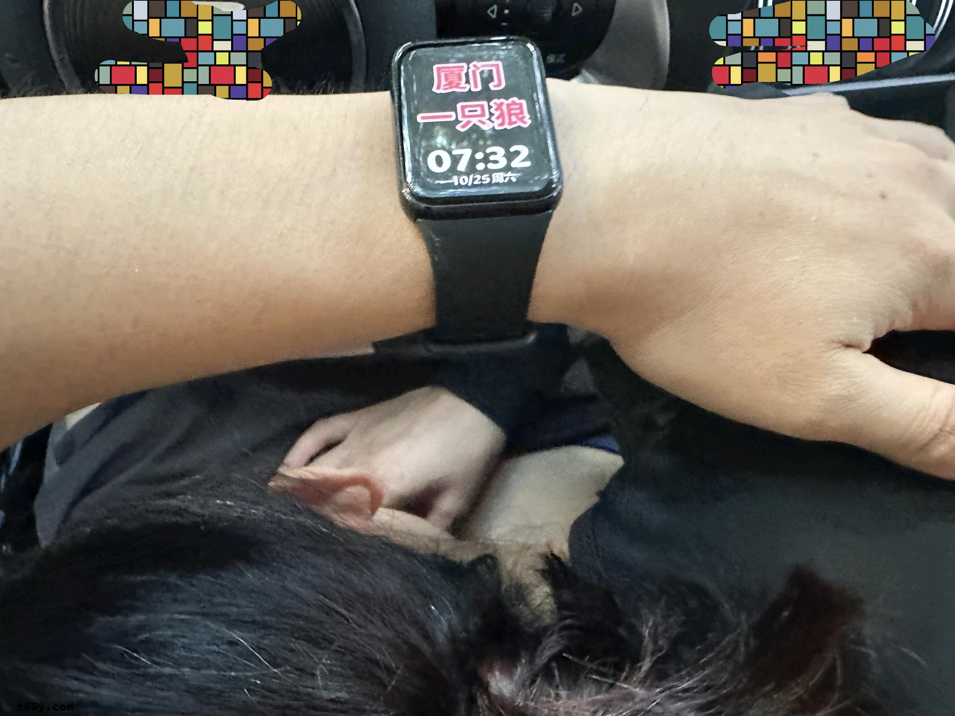 狼嫂车上认真吃肉棒,用肉棒狠狠操奖励她