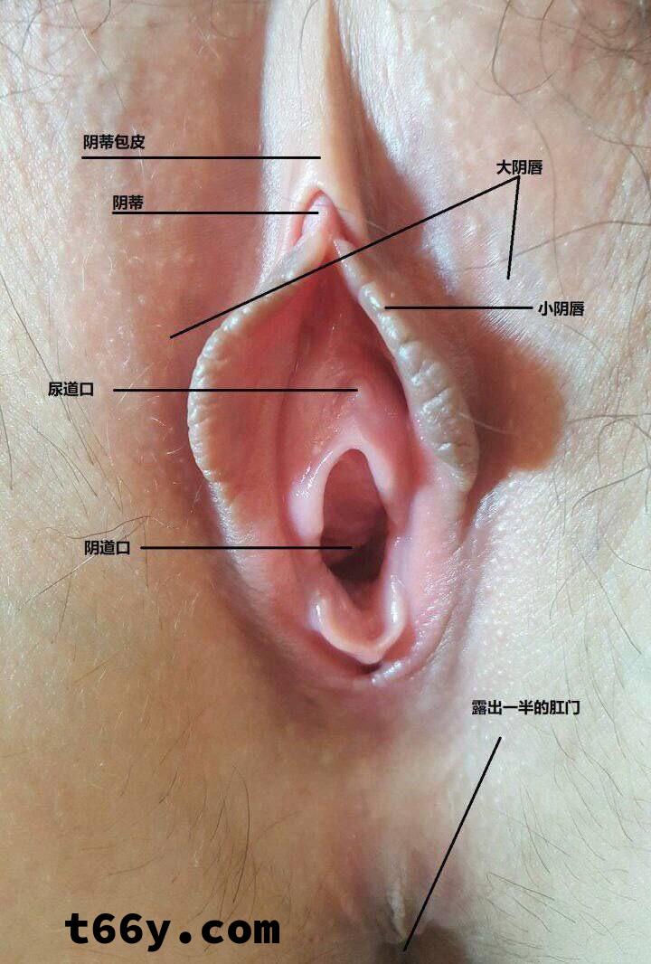 处女膜到底长什么样,看实物