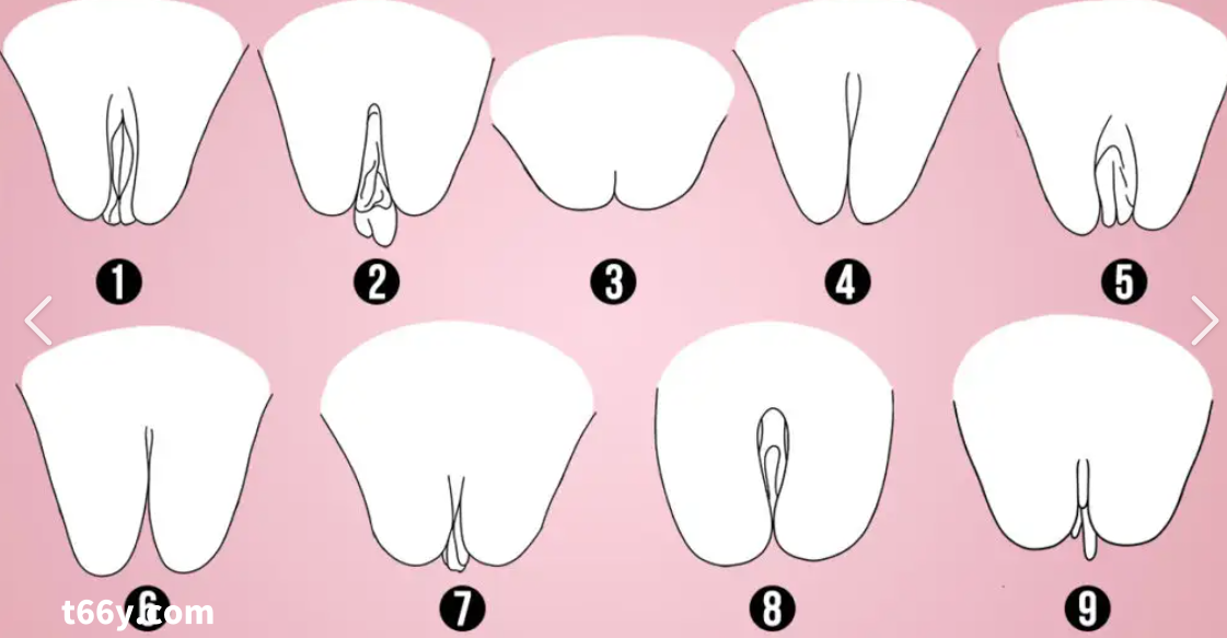 白虎为何稀缺，极品何为极品？