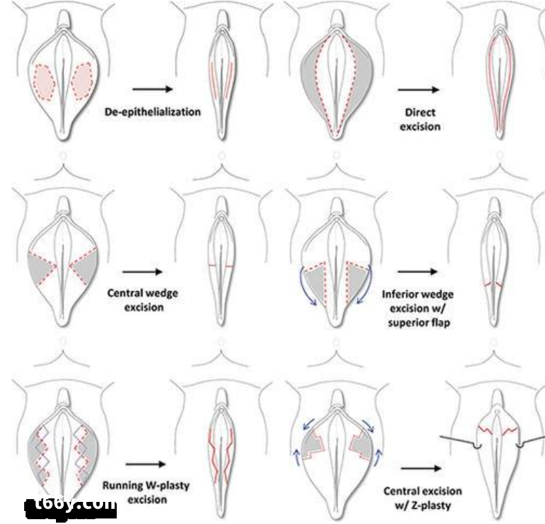 白虎为何稀缺，极品何为极品？