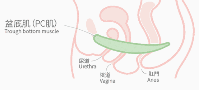 做爱也能“邪修”！