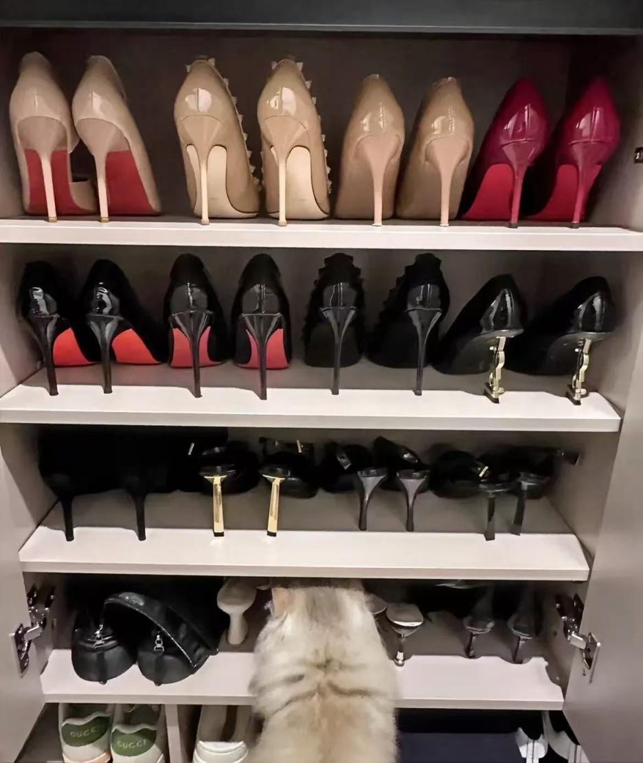 手机相册里的照片和随拍物品