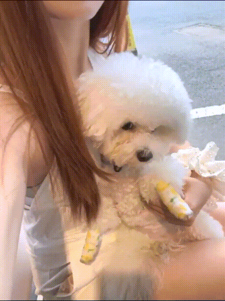 真是反差啊，看着小鸟依人 乖乖女，不知道多少人肏过了，还被内射