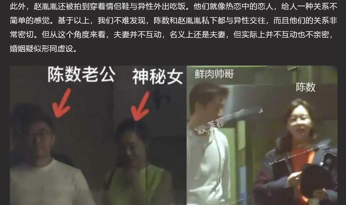 知名艺人陈数夜会小鲜肉 酒店遭愉拍不雅视频流出 引全网热议